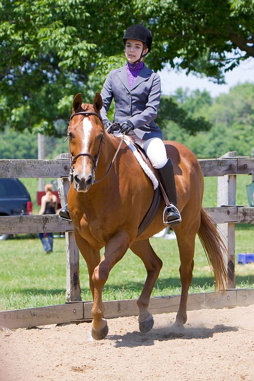 4H-Fun-Show-060912-517.JPG