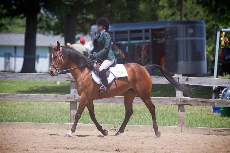 4H-Fun-Show-060912-520.JPG