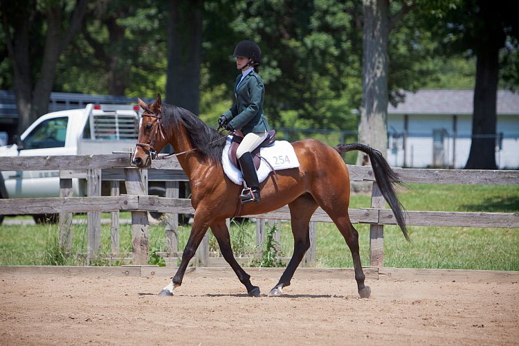 4H-Fun-Show-060912-521.JPG