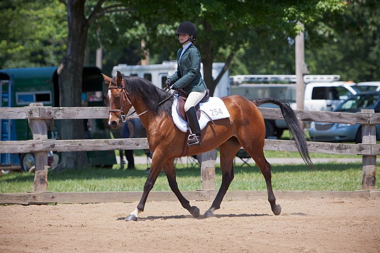 4H-Fun-Show-060912-522.JPG