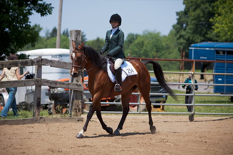 4H-Fun-Show-060912-523.JPG