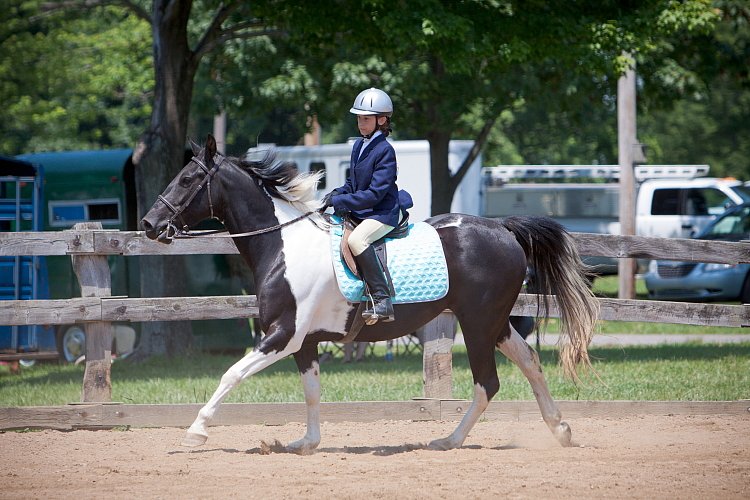 4H-Fun-Show-060912-526.JPG