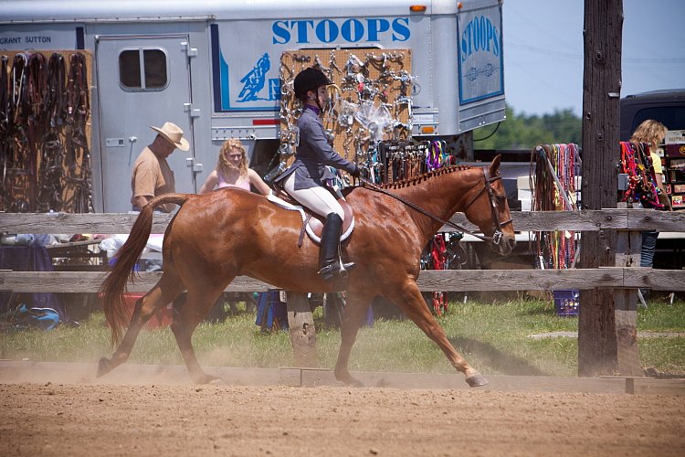 4H-Fun-Show-060912-528.JPG