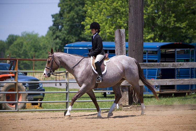 4H-Fun-Show-060912-530.JPG