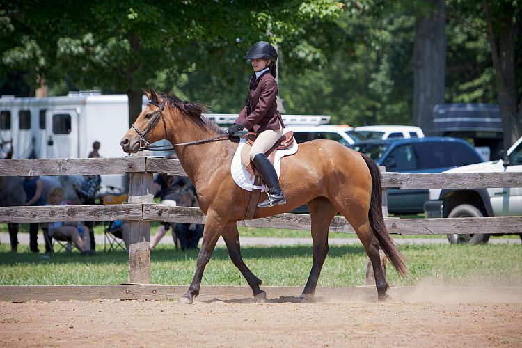 4H-Fun-Show-060912-534.JPG