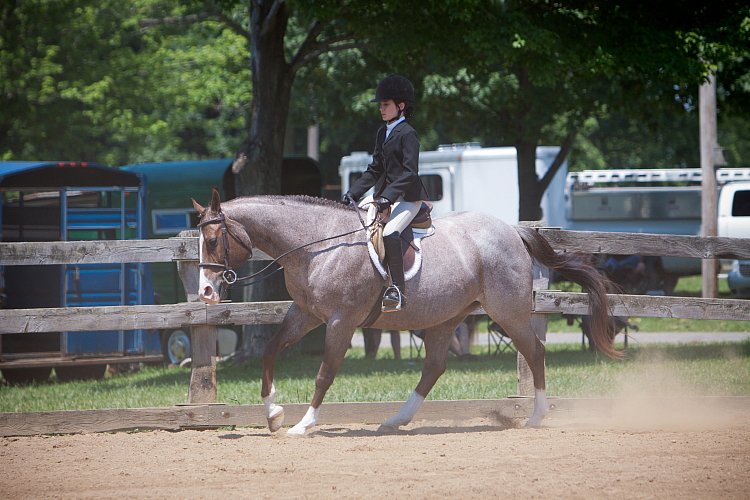 4H-Fun-Show-060912-535.JPG