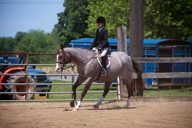 4H-Fun-Show-060912-536.JPG