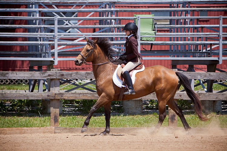 4H-Fun-Show-060912-537.JPG