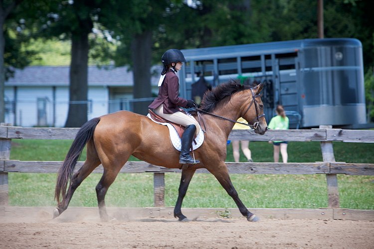 4H-Fun-Show-060912-539.JPG