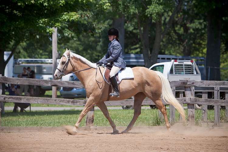 4H-Fun-Show-060912-483.JPG