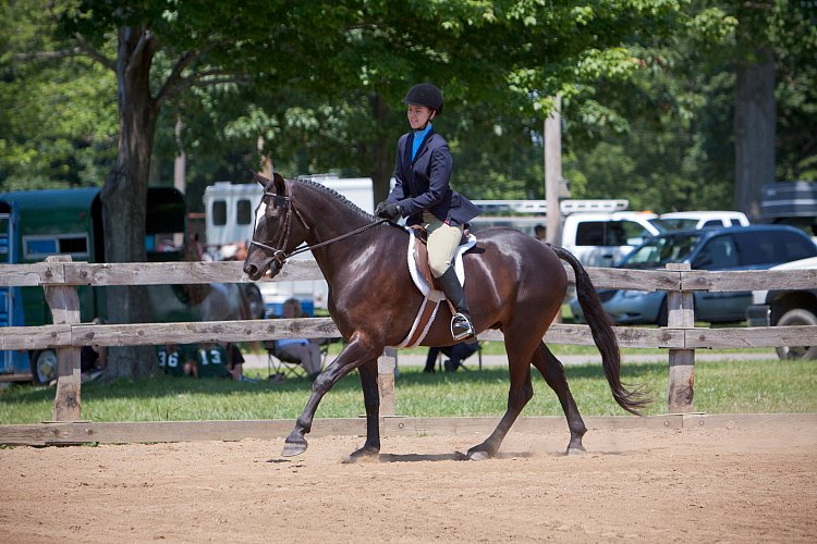 4H-Fun-Show-060912-487.JPG