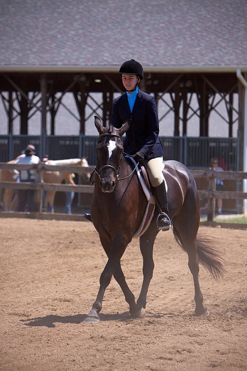 4H-Fun-Show-060912-496.JPG