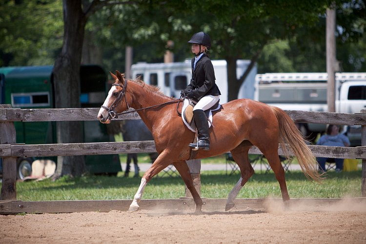 4H-Fun-Show-060912-559.JPG