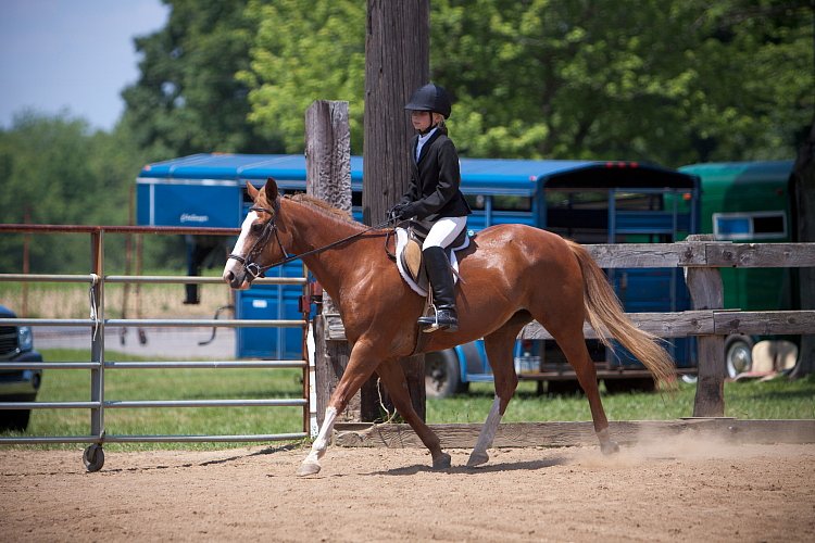 4H-Fun-Show-060912-560.JPG