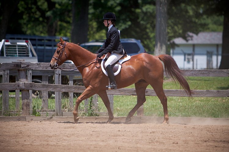 4H-Fun-Show-060912-561.JPG