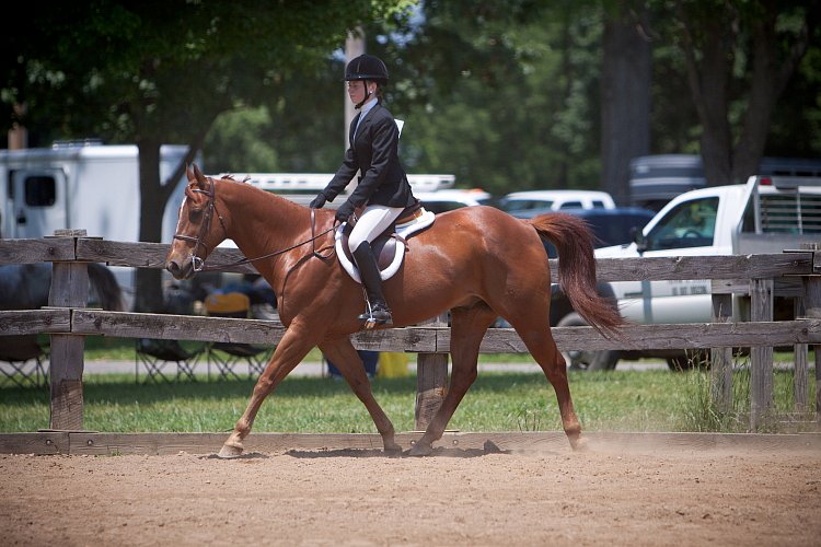 4H-Fun-Show-060912-562.JPG