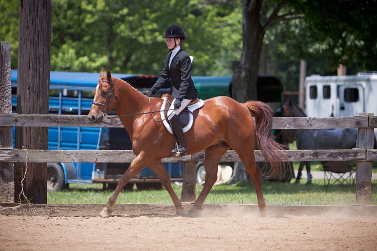 4H-Fun-Show-060912-564.JPG