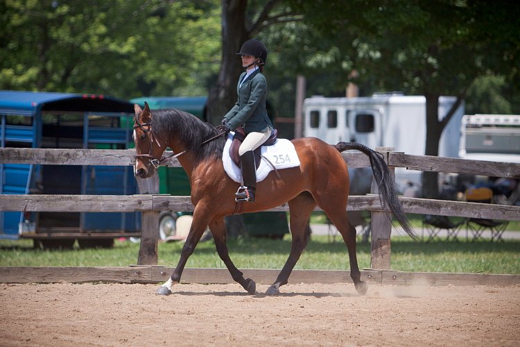 4H-Fun-Show-060912-566.JPG