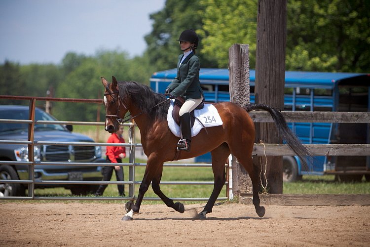 4H-Fun-Show-060912-567.JPG