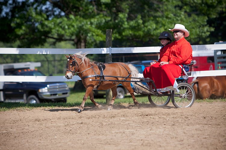 4H-Fun-Show-060912-204.JPG