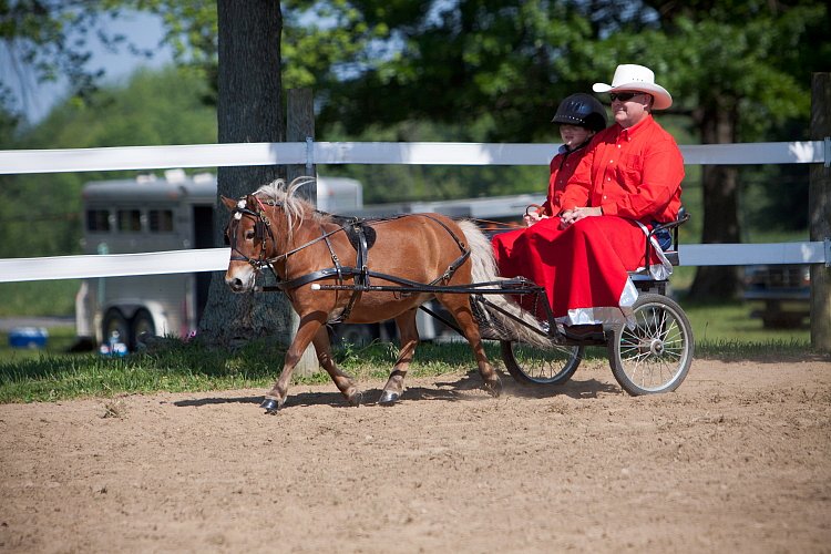 4H-Fun-Show-060912-205.JPG