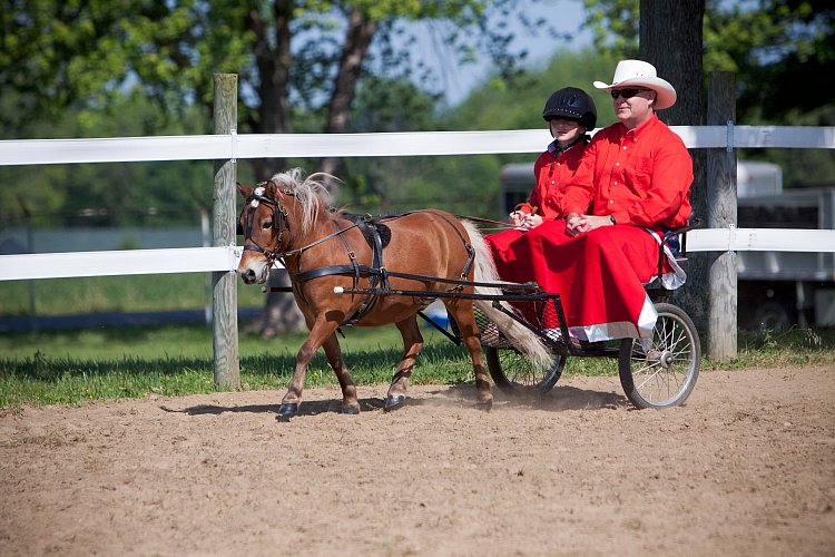 4H-Fun-Show-060912-206.JPG