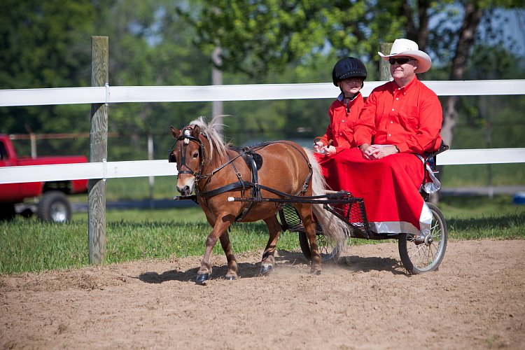 4H-Fun-Show-060912-207.JPG