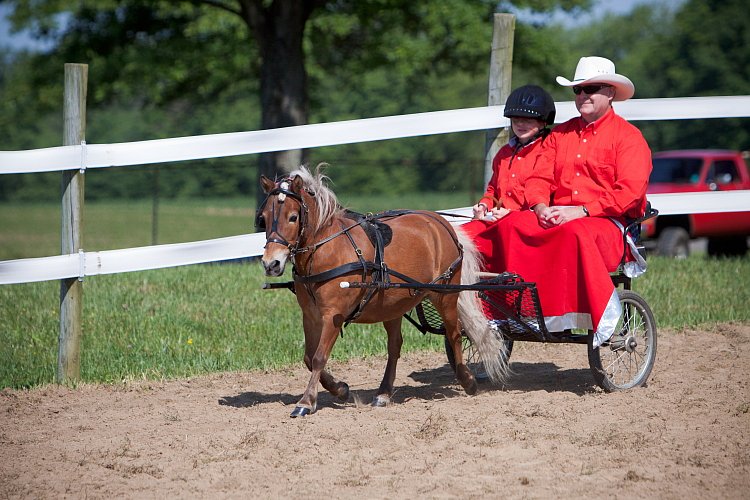 4H-Fun-Show-060912-209.JPG