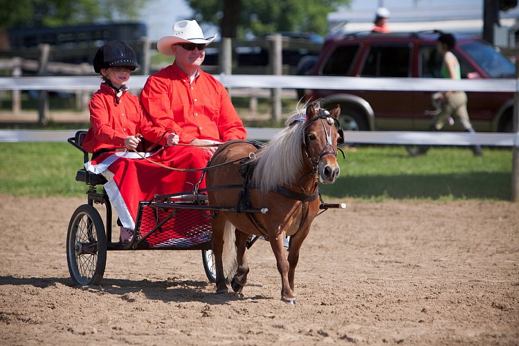 4H-Fun-Show-060912-211.JPG