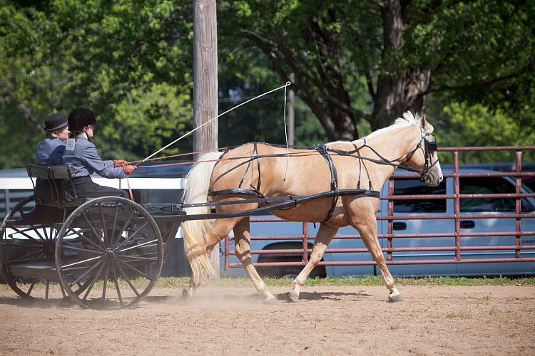 4H-Fun-Show-060912-215.JPG