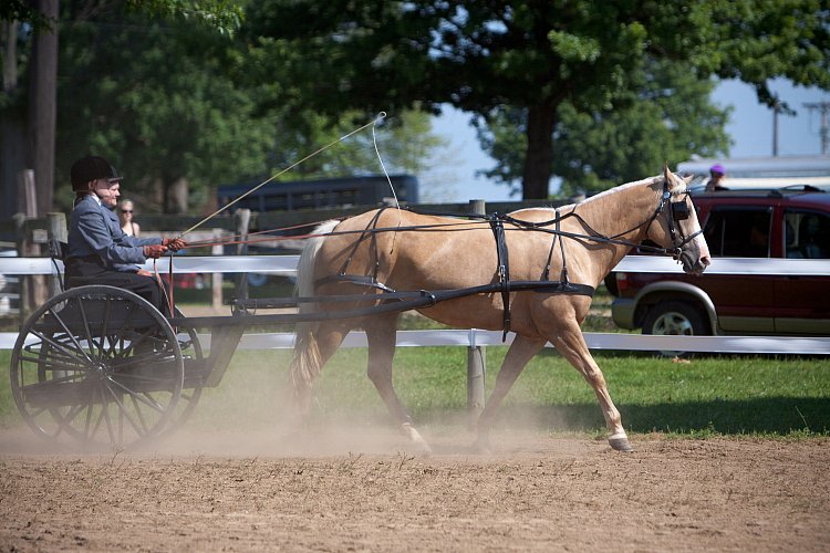 4H-Fun-Show-060912-218.JPG