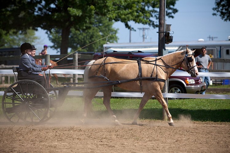 4H-Fun-Show-060912-219.JPG