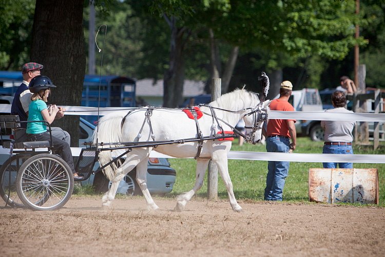 4H-Fun-Show-060912-187.JPG