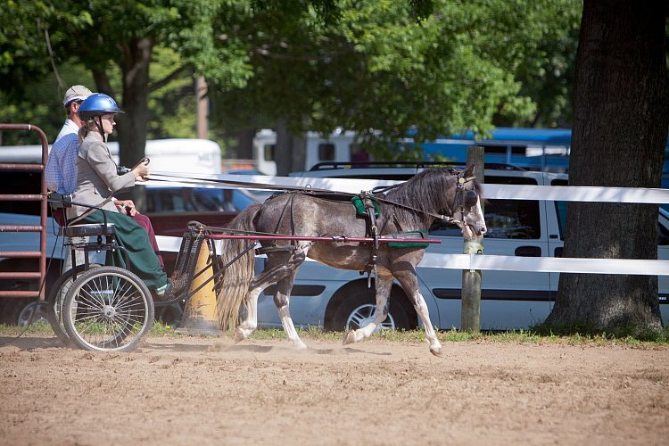 4H-Fun-Show-060912-188.JPG