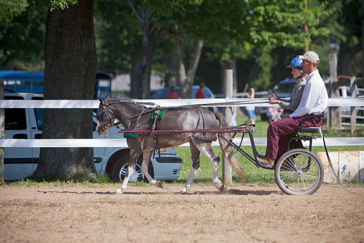 4H-Fun-Show-060912-199.JPG