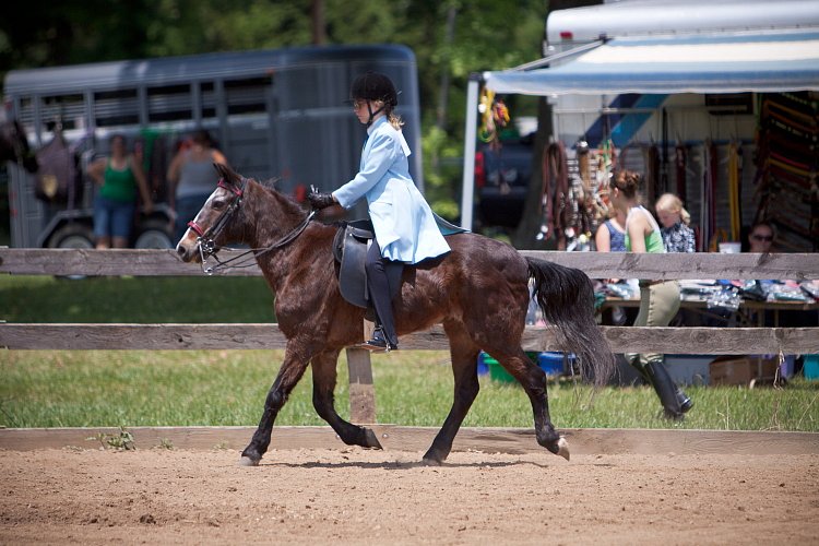 4H-Fun-Show-060912-575.JPG