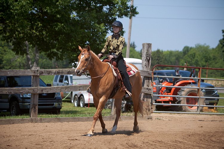 4H-Fun-Show-060912-450.JPG