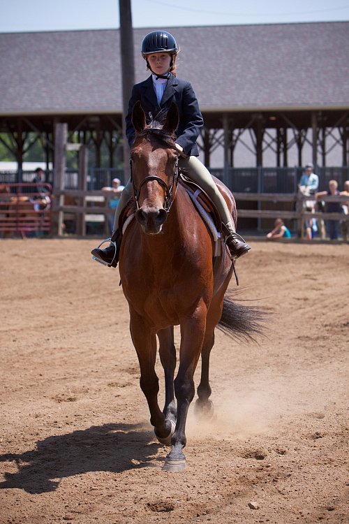 4H-Fun-Show-060912-458.JPG