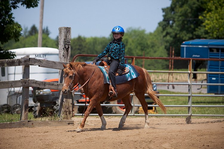 4H-Fun-Show-060912-463.JPG