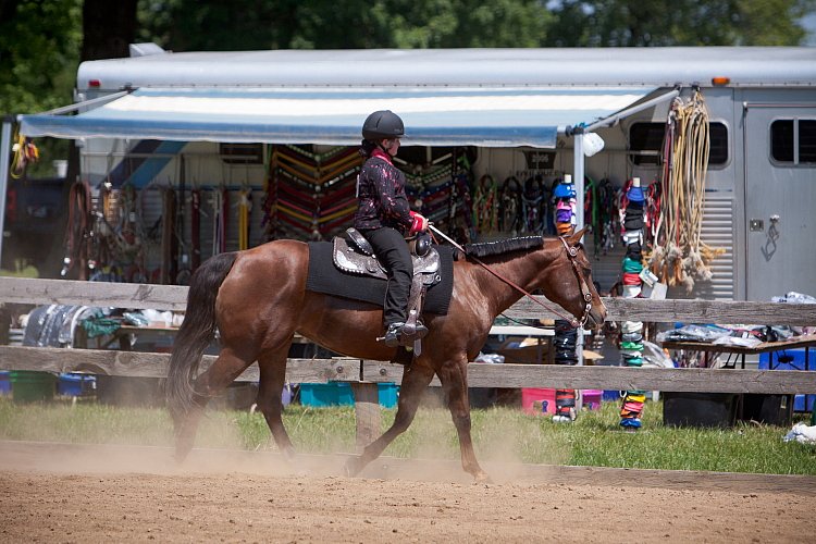 4H-Fun-Show-060912-474.JPG