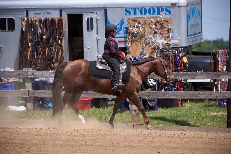 4H-Fun-Show-060912-475.JPG