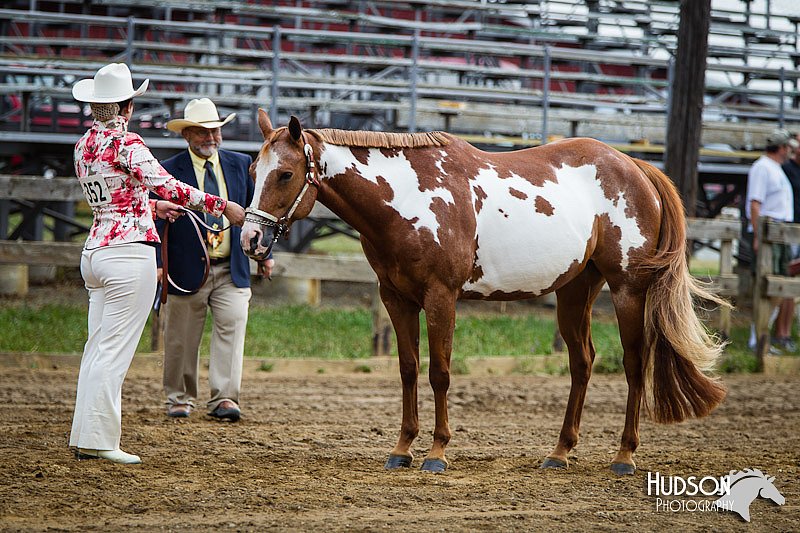 4H-2nd-071412-0731.jpg