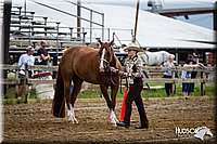 4H-2nd-071412-0701.jpg