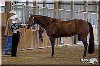 4H-3rd-072812-1005.jpg