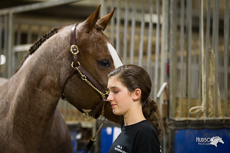 4H-State-12-0991.jpg