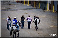 4H-State-12-0319.jpg