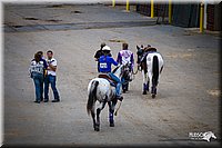 4H-State-12-0320.jpg