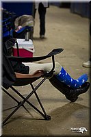 4H-State-12-0959.jpg