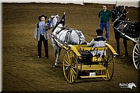 4H-State-12-0040.jpg