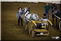 4H-State-12-0041.jpg